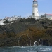 lighthouse_island_seal_machias_v_2378_can1431.jpg